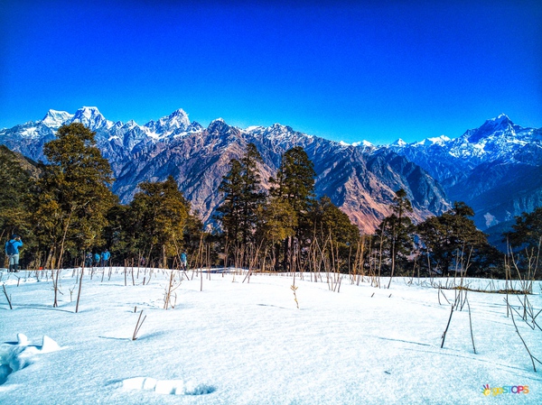 Kuari pass trek | Rishikesh to Joshimath Joshimath to Gulling Top ...