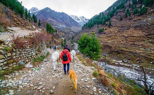 Kheerganga Trek