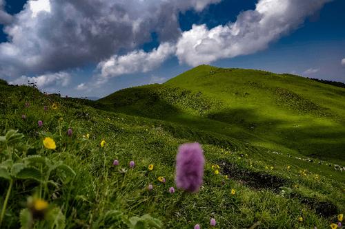 Ali Bedni Bugyal Trek