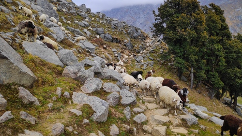 laka glacier trek with triund mcleodganj