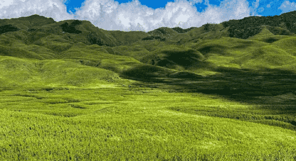 Dzukou Valley Trek - Nagaland