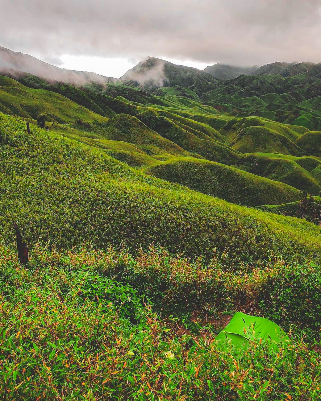 Dzukou Valley Trek
