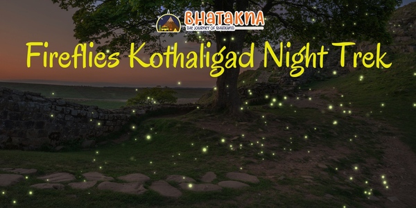 Fireflies Night Trek to Kothaligad 2022 (Peth)
