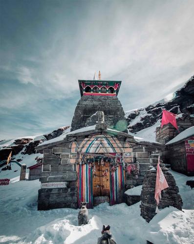 Unveiling Chopta - Tungnath - Chandrashila