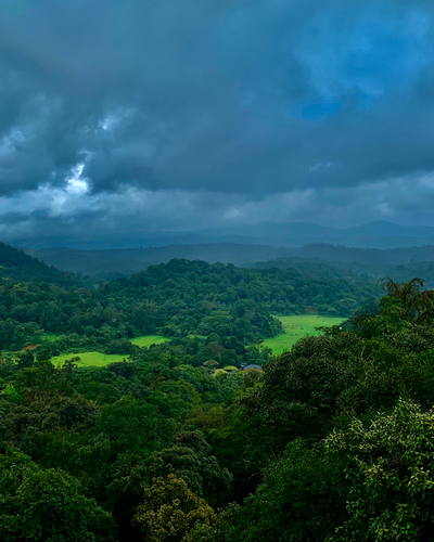 Coorg Nelji Hill Trek