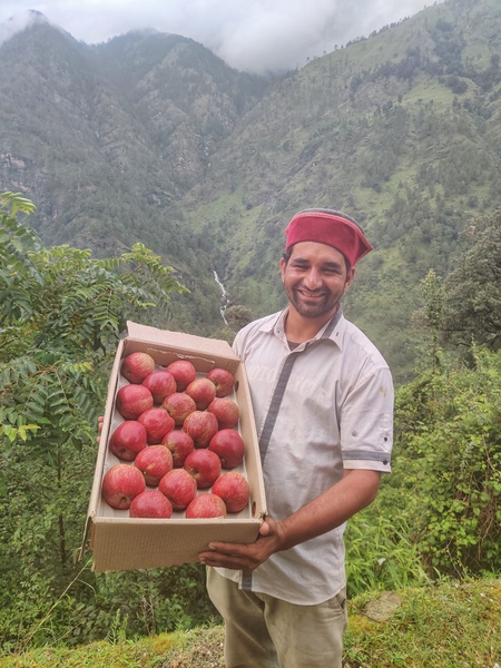 Apple Harvest Trail - Uttarakhand