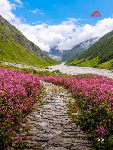 Valley of Flowers