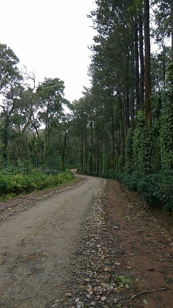 Coorg Backpacking