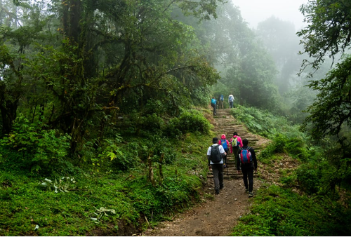 Huttari Betta Trek | Sunrise Trek, night trek