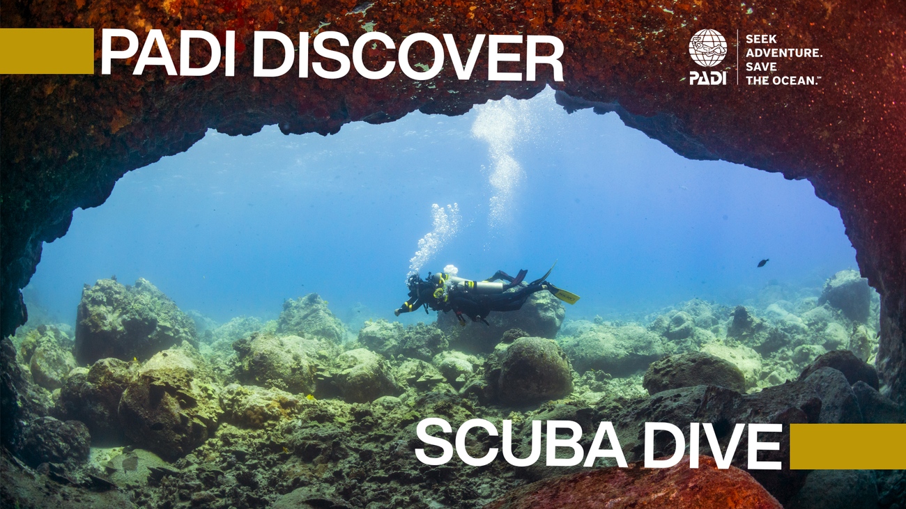 PADI DISCOVER SCUBA DIVE