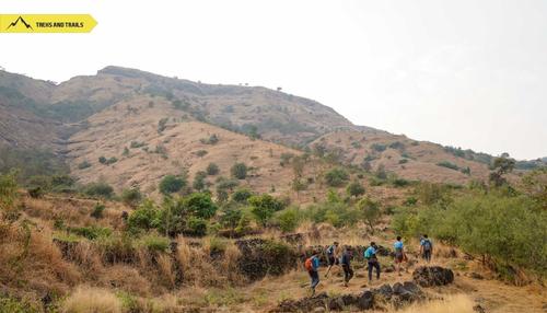 Garbett Plateau Night Trek | Garbett Point Trek