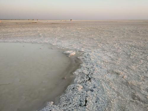 Celebrate New Year at Rann of Kutch - 29th December