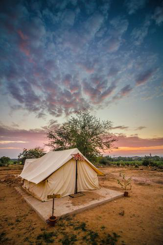 Rann of Kutch and Dholavira Tour, Mischief Treks