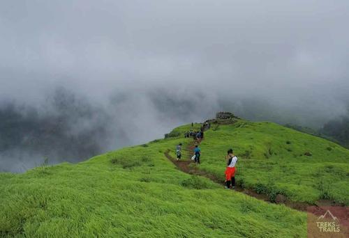 cover pic
