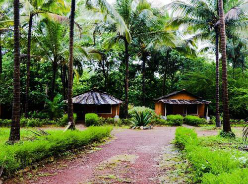 Goa - Biodiversity Trail