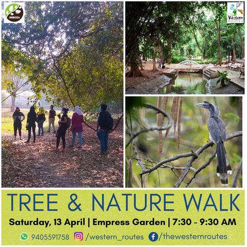 Tree & Nature Walk