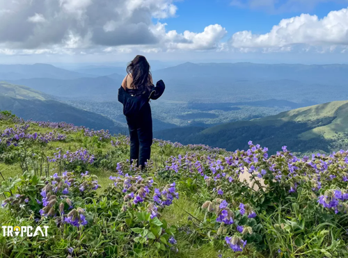 Explore Chikmagalur - Visit the Greater heights