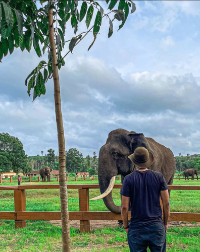 Coorg - The Scotland of India