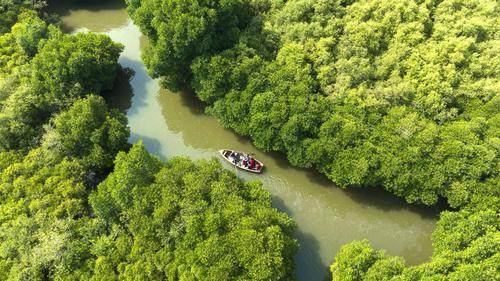 Pondicherry – Mangrove Forest 2N/3D