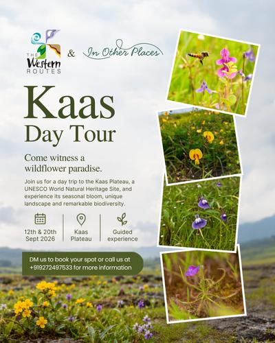 Kaas Plateau Day Tour