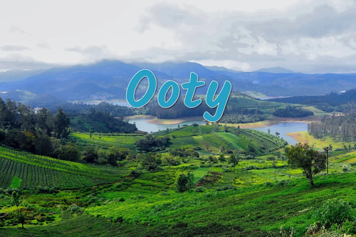 Ooty Exploration Tour