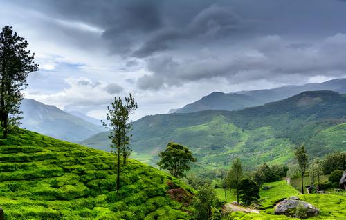 Wayanad | Weekend Getaway | 3 Days & 2 Nights