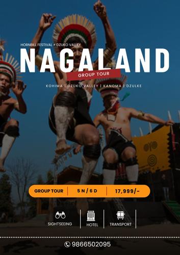 HORNBILL FESTIVAL & DZUKO VALLEY NAGALAND