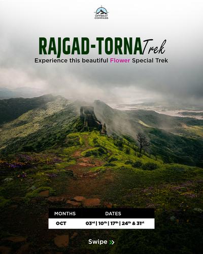 RAJGAD-TORNA TREK: OCTOBER WILDFLOWER SPECIAL