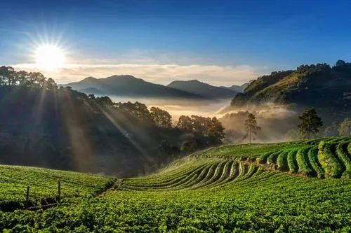Bangalore, Mysore and Ooty Tour Package