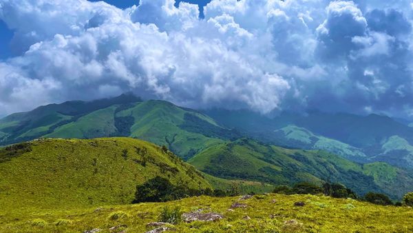 Coorg Nelji Hill Trek