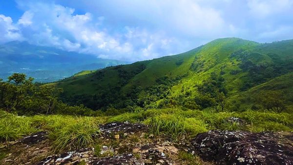 Coorg Nelji Hill Trek