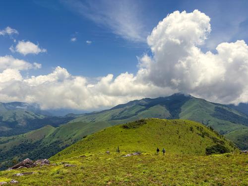 Coorg Nelji Hill Trek