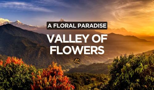 Valley Of Flowers Trek