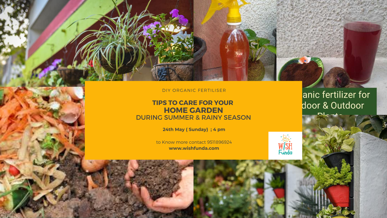 Natural Organic ways to care for your Home Garden : Online session