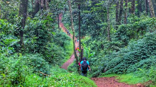 Tavoor Hills Coorg Trek