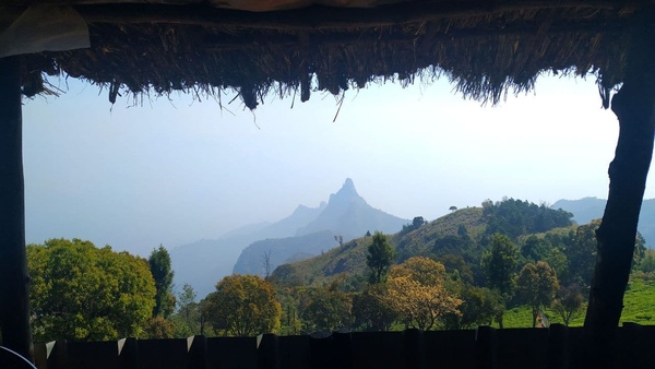 Camp Amidst The Nilgiris Valley