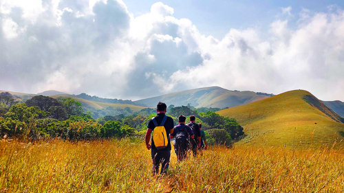 bandaje trek homestay