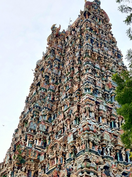 Enchanting Tamil Nadu