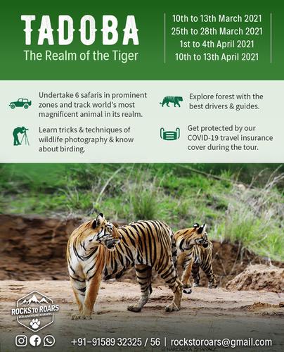 Tadoba - The realm of the tiger