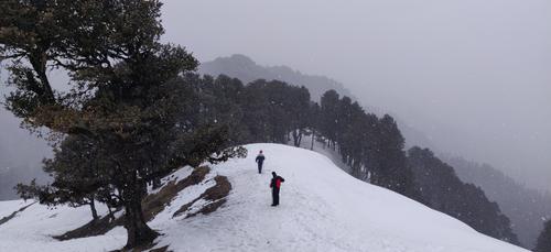 Into the Woods of Himachal : Tirthan & Jibhi