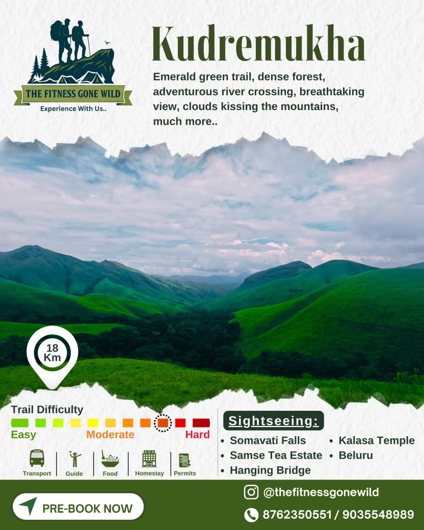 Kudremukha trek poster