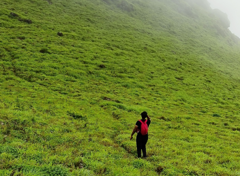 Tadiandamol Trek – The Highest Peak of Coorg poster